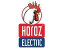 Horoz Electric