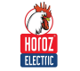 Horoz Electric