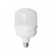 Лампа світлодіодна Ecostrum Т100-30W 6500K