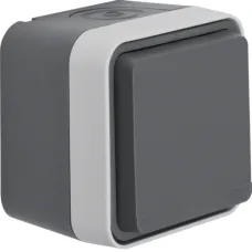 Розетка Berker W.1 IP55 з заземленням та захисною кришкою сіра 47403515