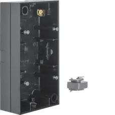Коробка для зовнішньої установки Berker R.1/R.3/R.8 двомісна чорна 10428935