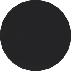 Лицьова панель Berker R.1/R.3/R.8 для поворотного димера чорна 11372045