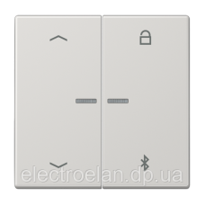 Таймер універсальний Bluetooth «стрілки» LS1751PBT LS1751PBTLG