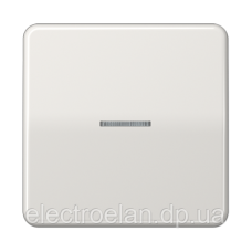 Клавіша з віконцем CD590KO5 CD590KO5LG