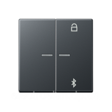 Таймер універсальний Bluetooth A1751BTSW A1751BFBTANM