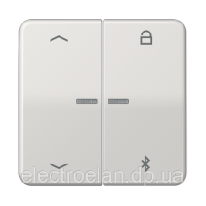 Таймер універсальний Bluetooth «стрілки» CD1751PBT CD1751PBTLG