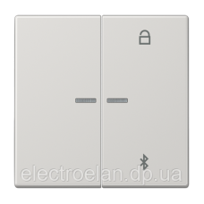 Таймер універсальний Bluetooth LS1751BTLG