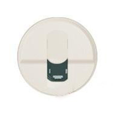 Накладка компьютерной розетки RJ45 Legrand Celiane «слоновая кость» 66235