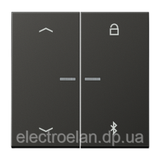 Таймер універсальний Bluetooth «стрілки» LS1751PBTLG AL1751PBTAN