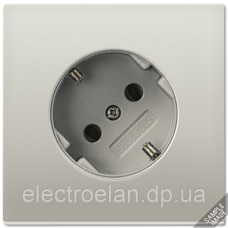SCHUKO®-розетка 45°, 16 A / 250 B ~ AL2520-45