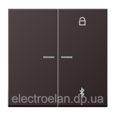 Таймер універсальний Bluetooth LS1751BT AL1751BTD