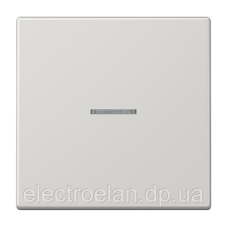 Клавіша з віконцем LS990KO5 LS990KO5LG