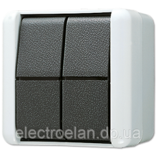 2-х клавішний механізм кнопки без фіксації 10 А / 250 В ~ 839W