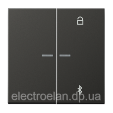 Таймер універсальний Bluetooth LS1751BT AL1751BTAN