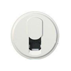Накладка 1-ой компьютерной розетки RJ45 Legrand Celiane цвет «белый» 68251
