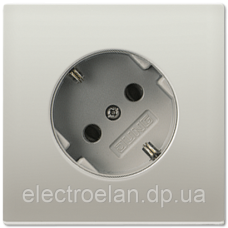 SCHUKO®-розетка 45°, 16 A / 250 B ~ AL2520-45 ES2520-45