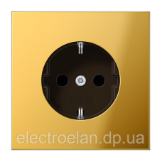 SCHUKO®-розетка 16 A / 250 B ~ LS1521 GO1521