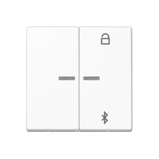 Таймер універсальний Bluetooth A1751BTWW
