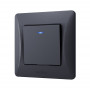 Выключатель VIDEX одноклавишный с подсветкой BINERA черный графит